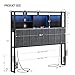 Hzuaneri Headboard with 3-Tier Storage Shelves, Velvet Upholstered Head Board with 2 Outlets, USB Ports & LED Light, Soft Backrest for Queen Size Bed, Black BH15204B