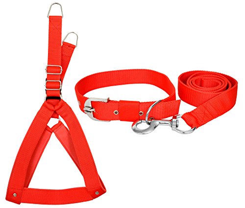 Image of No Pull -Step in Soft Padded Buckle Dog Harness and Collar Leash - Escape Proof Adjustable Combo for Walking Training Hiking Outdoor (Red, Extra Small)