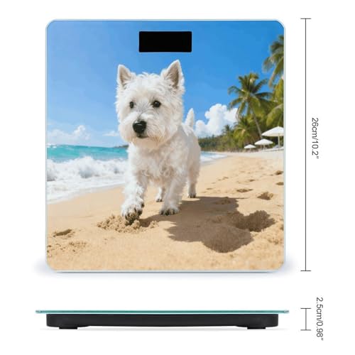 Báscula Digital de Baño con Pantalla LCD y Base Antideslizante miniatura 2