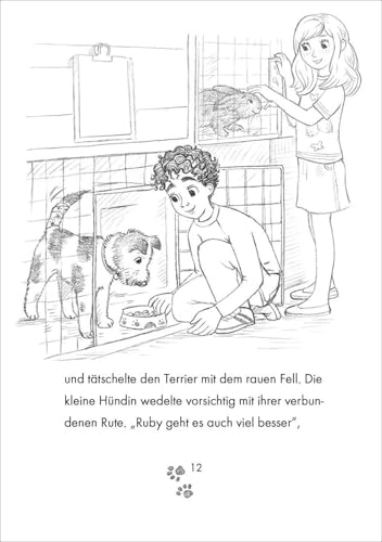 Tierklinik Pfötchen (Band 6) - Kleiner Hamster, friss mal was: Kleine Tierretterin mit großem Herzen! - Kinderbuch für Erstleser zum Vorlesen und Selberlesen ab 7 Jahren