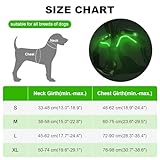 MASBRILL Leuchtgeschirr für Hunde Aufladbar, LED Hundegeschirr Verstellbar Reflektierende Brustgeschirr Beleuchtetes Hundegeschirr (Grün, XL)