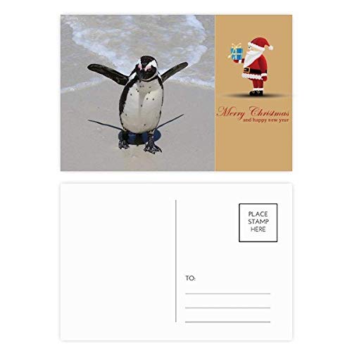 Cartes postales Pingouin Antarctique Océan Nature - Lot de 20 illustrations éducatives
