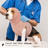 PUMYPOREITY Hundekopfverband für Ohrhämatome, Katzen Schutzanzug Kopfverband Hunde schal Ohrenschutz Hunde Shirts Katzenbody Nach Op(Hautrosa, S)