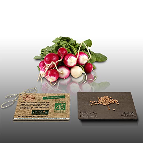 100 graines Bio à semer - Le Grenier d'Abondance - RADIS ROND National 2 - Certifié AB - Raphanus sativus