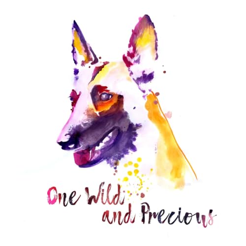 E80 Larry Krohn on teaching free drop-in group classes