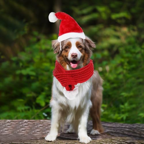 Gorro y Bufanda de Santa para Perros y Gatos L miniatura 7