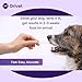 ORIVET Genopet Dog DNA Test | Dog Breed Test Kit, Genetic Testing, Heritable Health Risks & Personalized Life Plan