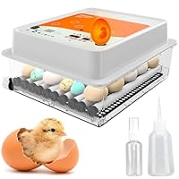 Okköbi OBI-36 Brutautomat Vollautomatisch – Inkubator für 36 Eier mit Automatischem Eierwender - Brutkasten Hühner für Hühnereier, Wachtel und Enteneier - Orange