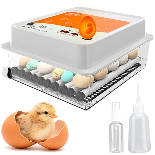 Okköbi OBI-36 Brutautomat Vollautomatisch – Inkubator für 36 Eier mit Automatischem Eierwender - Brutkasten Hühner für Hühnereier, Wachtel und Enteneier - Orange