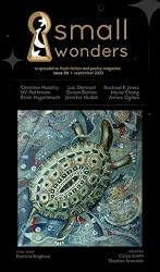 Small Wonders Magazine Issue 3