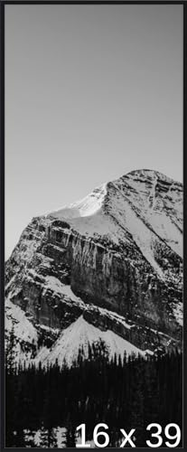 Frame It Easy 16 x 39 1/2 Satin Black Metal Frame (Ashford) 16x39.5 inches