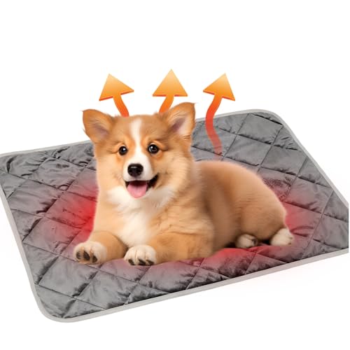 Manta Autocalentable Perro