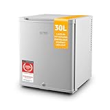 TZS First Austria - Mini Kühlschrank 30L komplett lautlos - Kleiner Minikühlschrank, wechselbarer Türanschlag & Innenbeleuchtung - Minibar für Camping, Büro, Schlafzimmer & Hotel - Grau