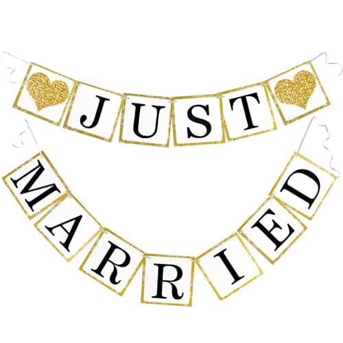 Wedding Banner Decorations Just Married Paper Wedding Garland Supplies...