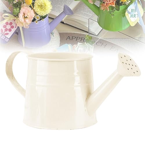 Regadera Pequeña Metal 1 Litro con Cabezal Tipo Ducha, Regadera Metal Galvanizada Ligera para Plantas de Interior y Exterior, Flores, Macetas, Jardín y Herramientas de Jardinería para Casa. (Blanco)
