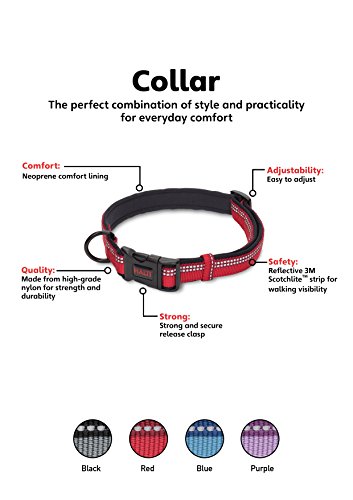 Image of HALTI Comfort Collar - Nylon and Neoprene-Padded Comfy Dog Collar, Reflective, Easy to Fit & Use. Colorful two-tone design, Suitable for Small Dogs and Puppies (Size XS, Red)