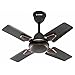Candes Brio Turbo 600 mm / 24 Inch High Speed 4 Blade Anti-Dust Ceiling Fan Suitable for Kitchen/Veranda/Balcony/Small Room (Pack of 1