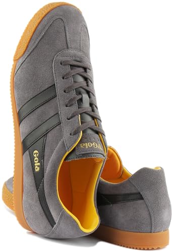 Image of Gola Harrier