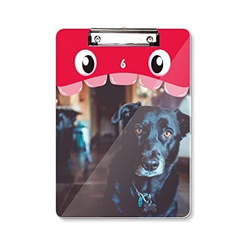 Chien noir bloc-notes A4 avec dossier à tête plate pour l'apprentissage au quotidien