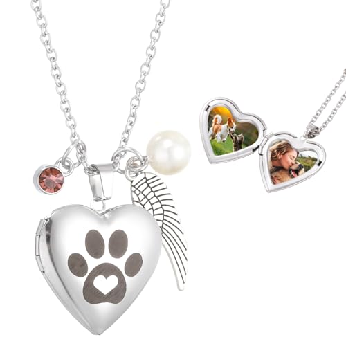 Pendentif médaillon patte de chien en acier hypoallergénique qui ne ternit pas