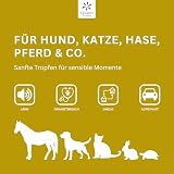 Lemon Pharma Bachblüten Tropfen Angst für Tiere – Beruhigung, Anti Stress für Haustiere, für Katzen und Hunde, Bio & Vegan