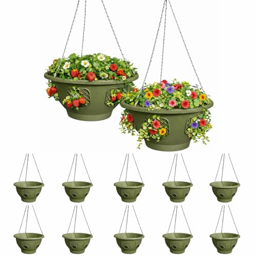 smart spring Ultimate Hanging Baskets - Strawberry, Tomato, Flower, and Herb Outdoor Planters - Use Garden Pots for Growing Plants Outside On A Deck, Fence, or Balcony (10, Sagebrush Green)