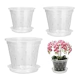 eupdd 12 macetas para orquídeas transparentes, macetas transparentes para orquídeas en interiores y balcones