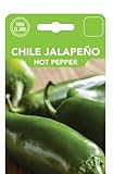 Semillas Capsicum Annuum o Pimiento Jalapeño para Siembra en Casa