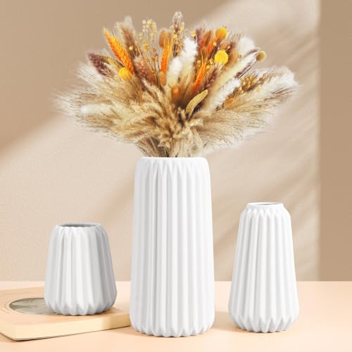Apritsce Vasi in Ceramica, Set di 3 Vasi Decorativi Bianco, Vasi Moderni da Interno Design per L'erba Della Pampa, Vaso Fiori Minimalista Boho, per Matrimonio Cena Tavolo Partito
