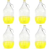 6 Stück 5L Weinballon mit Schraubverschluß und kleinem Kunststoffkorb