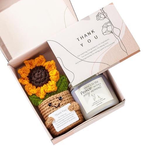 RainVibe Thank You Gifts for Women – Appreciation Gift Baskets for Teachers, Nurses, Bosses & Coworkers – Thoughtful Employee & Teacher Appreciation Gift Set