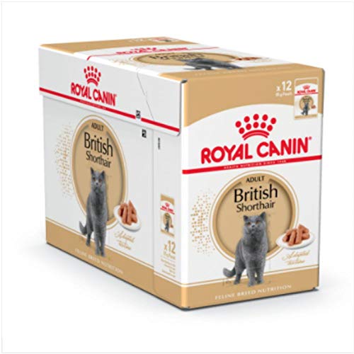 ROYAL CANIN CAT WET FOOD- FELINE BREED NUTRITION BRITISH SHORTHAIR 12X85G (POUCHES)12x85g