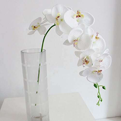 Ddg Edmms Phalaenopsis artificielle 9 têtes, fausses fleurs en soie, orchidée pour décoration d’intérieur, de mariage, blanc