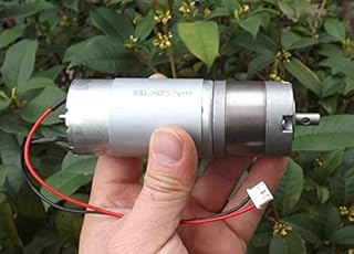 EdricShop DC Motor DC24V 100Rpm 36mm R555 DC Permanent Magnet Planetary Geared Motors Power Tools/Machinery/Diy Accessories