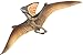 Dinosauro Giocattolo Pterosaur Action Figure Realistic Dinosaur Giocattolo Modello Toddler Education Modello di dinosauro Plastica per Bambini Festa di Compleanno