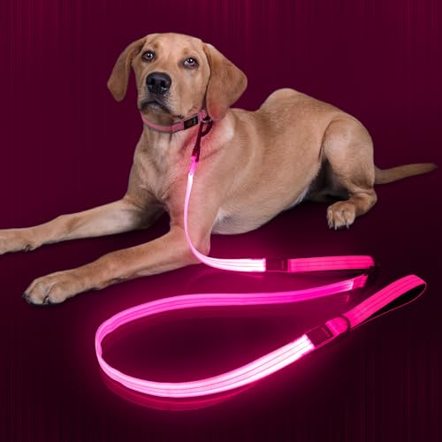Dlitk Light Up Dog Leash, LED Leashes Rechargeable, Nylon Reflective