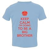 Mashed Clothing Little Boys' Keep Calm Going Big Brother Toddler T-Shirt (Lt. Blue, 3T)