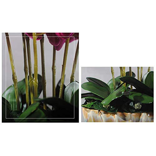 Fleurs artificielles en pot orchidées, solution déco sans entretien
