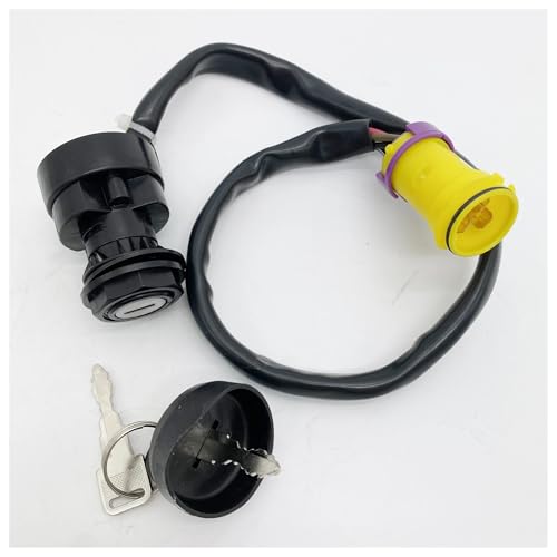 Arranque sin fallos con el interruptor de llave de encendido JS250 de 250CC para ATV quad chino 2