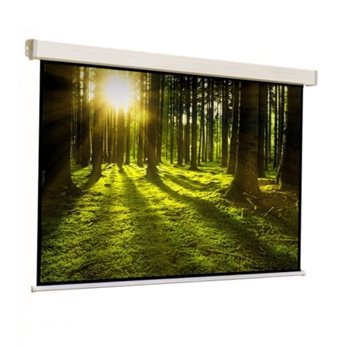 Schermo Proiezione Sopar Platinum Manuale a Molla 300x300cm Formato 1:1 (163 pollici) Tela bianca retro nero - Telo Proiettore Schermo Proiezione videoproiezione MADE IN ITALY