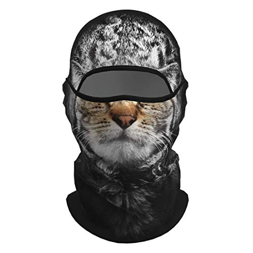 VERTAST Balaclava Sturmhaube, 3D Tier aktive Kopfhaube für Skifahren Radfahren Motorradfahren Helm Liner Wandern Camping Nackenwärmer, Vlies - Katze Cover