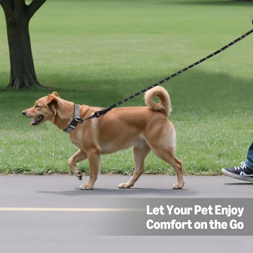 Amazon Basics Round Dog Leash, Heavy Duty, Durable Rope for Small, Medium, and Large Dogs, Lightweight Design for Walking, Training, and Outdoor Activities, Black, 4 Ft view 4