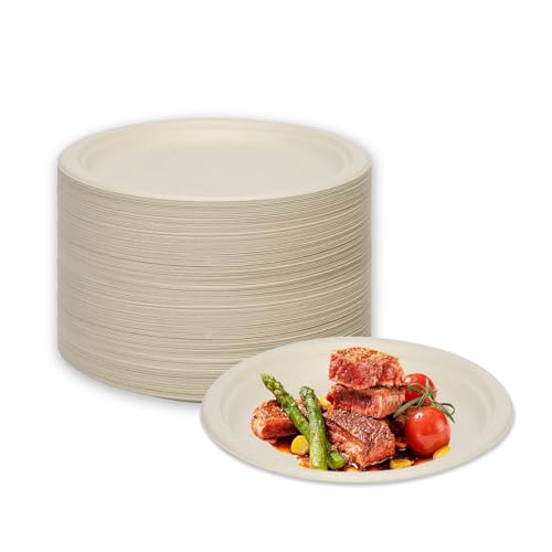 LDFDRT Assiettes Jetables 100 pcs Bagasse De Canne à Sucre Assiettes En Carton Papier Jetables Pour Pique-Niques, Fêtes, Barbecues, Anniversaires (natürlich, 15,2cm)