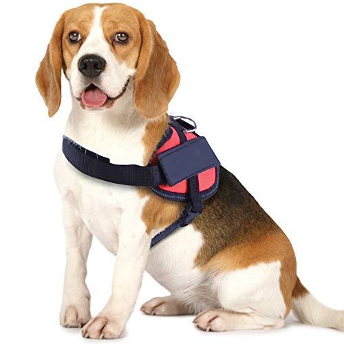 SunGrow Dog Harness and Leash, Large, Adjustable from 25.6â€ to 31.5â€, Red Durable Nylon, No-Pull, Easy to Control Design, 1-Set