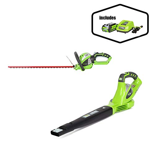 image for Greenworks 40V 150 MPH Variable Speed Cordless Blower, 2.0 AH Battery 