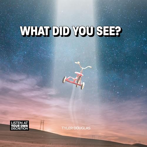What Did You See? cover art