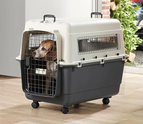 Image of Heavy Duty Dog Travel Carrier Flight Crate, IATA Compliant Airline Approved, White & Grey (32 Inch)