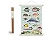 Produktbild Cavallini Vintage Poster Set mit Holzleisten (Rahmen) und Schnur zum Aufhängen, tropische Fische