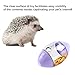 2Pcs Hedgehog Enrichment Toys - Supplies & Accessories for Cage, Including Toys for Hedgehogs