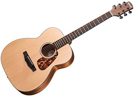 Amazon.co.jp: Morris モーリス Perfomers Edition F-021 NAT 